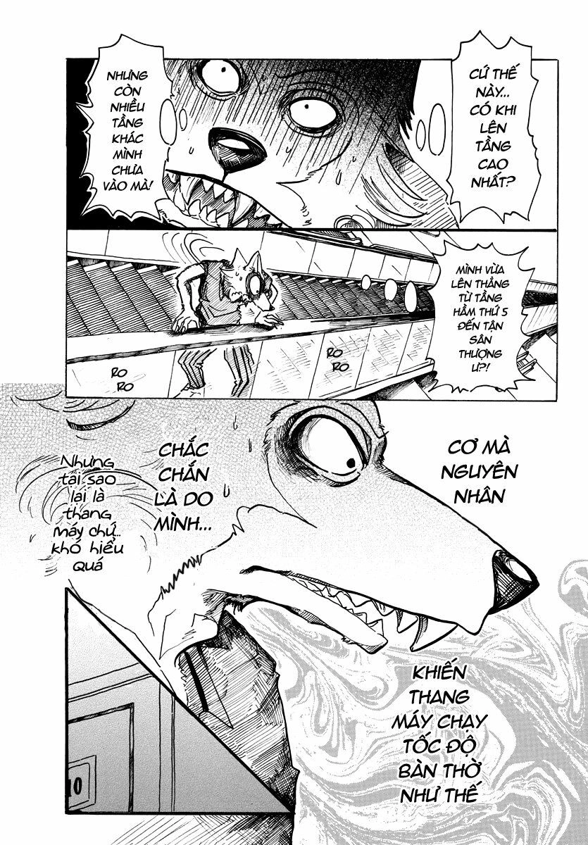 Bởi Vì Chúng Ta Đều Là Những Ngôi Sao Chapter 43 - 11