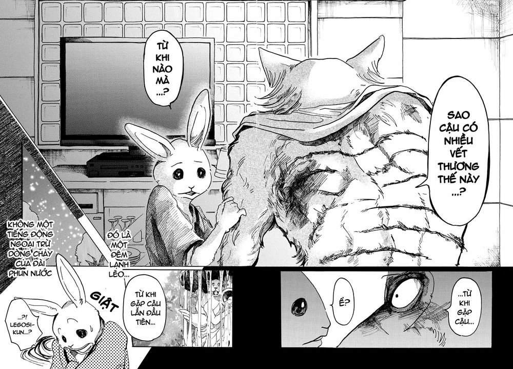 Bởi Vì Chúng Ta Đều Là Những Ngôi Sao Chapter 43 - 18