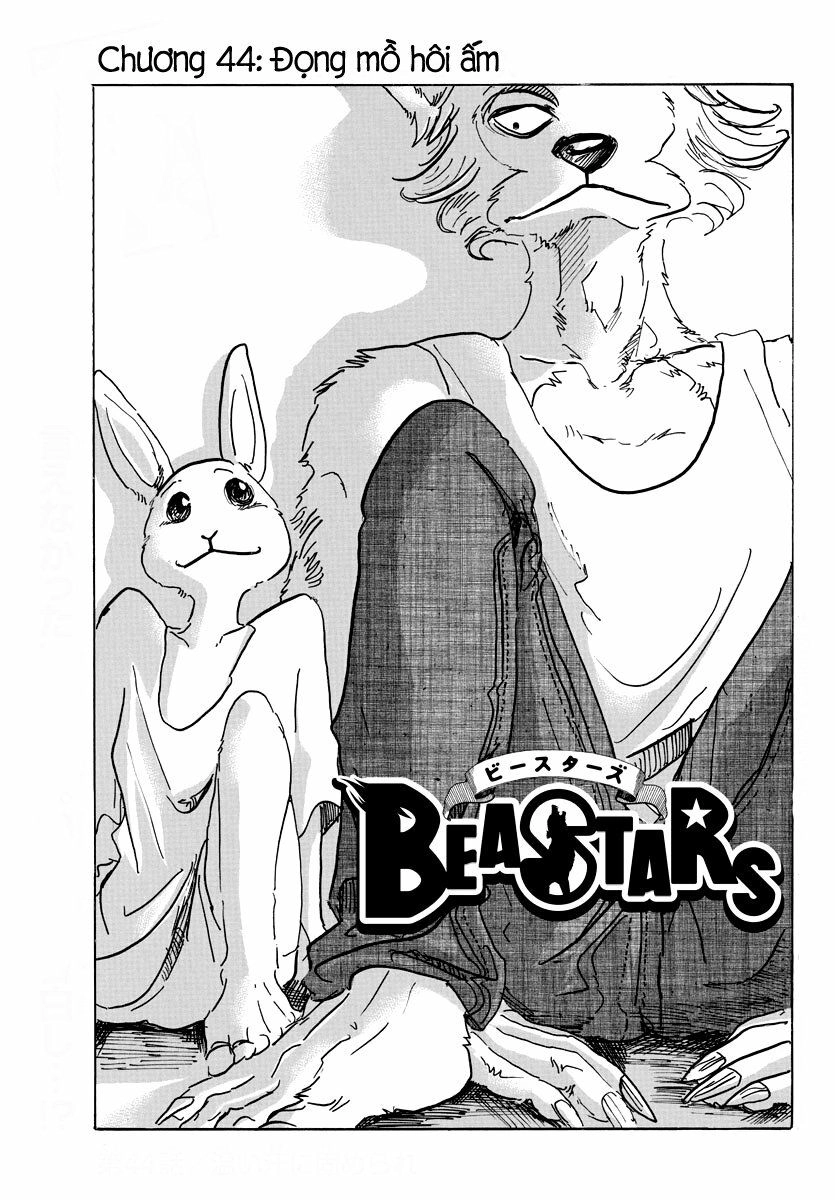 Bởi Vì Chúng Ta Đều Là Những Ngôi Sao Chapter 44 - 8