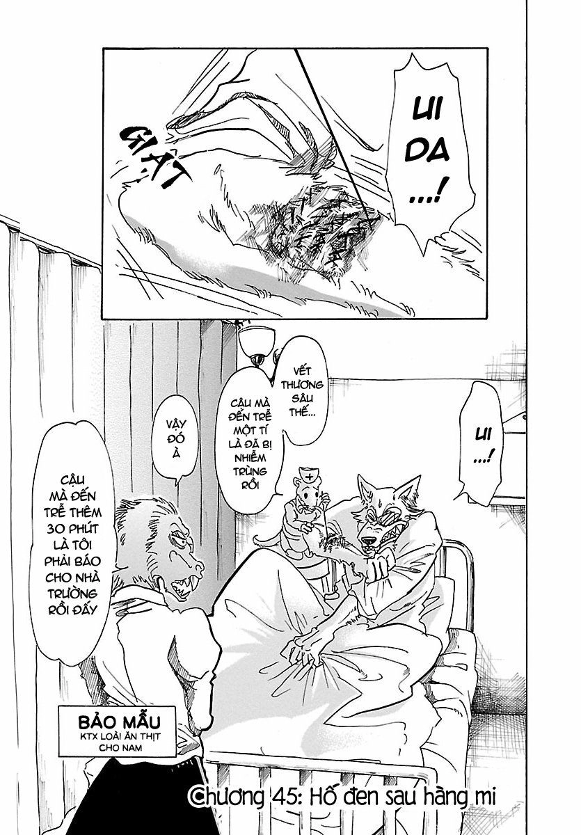 Bởi Vì Chúng Ta Đều Là Những Ngôi Sao Chapter 45 - 1