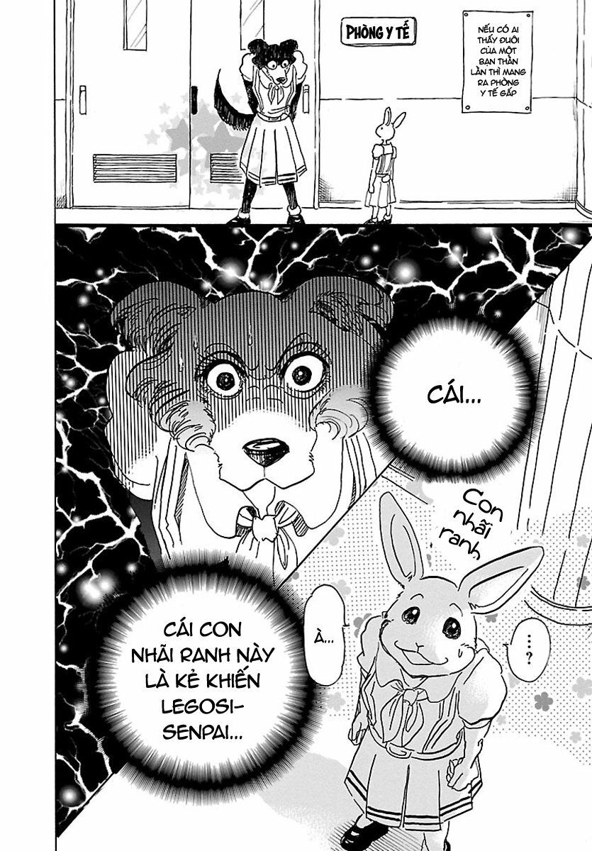 Bởi Vì Chúng Ta Đều Là Những Ngôi Sao Chapter 45 - 12