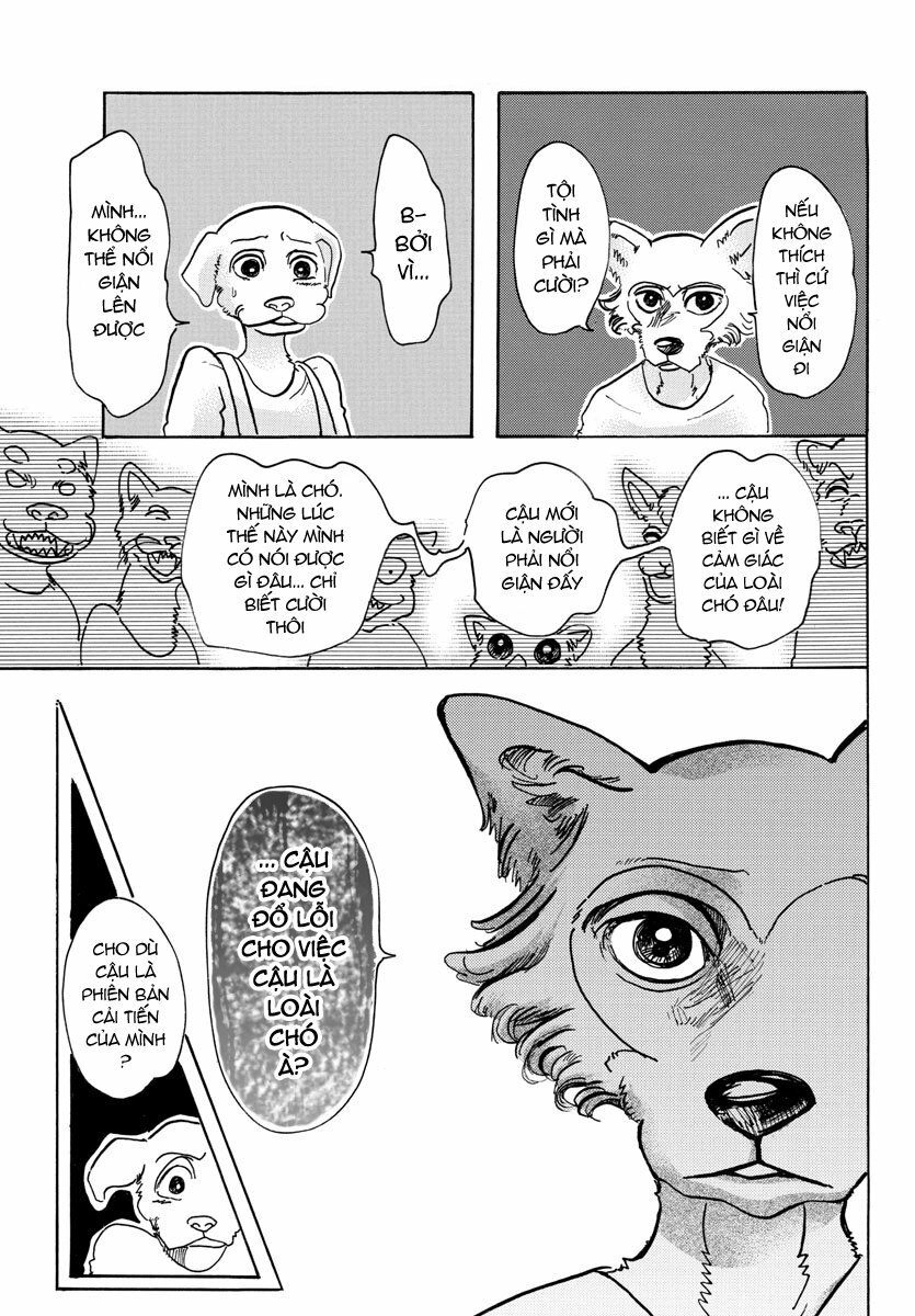 Bởi Vì Chúng Ta Đều Là Những Ngôi Sao Chapter 49 - 17