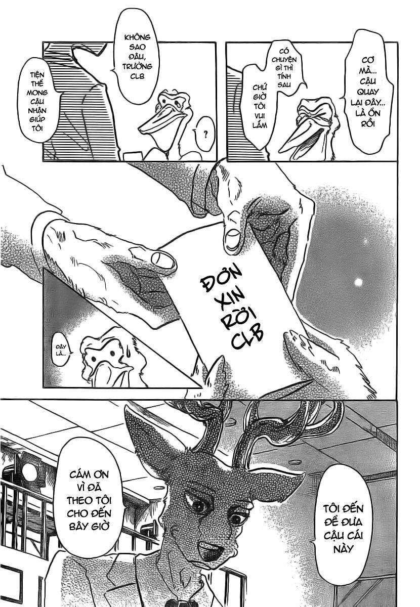 Bởi Vì Chúng Ta Đều Là Những Ngôi Sao Chapter 50 - 13