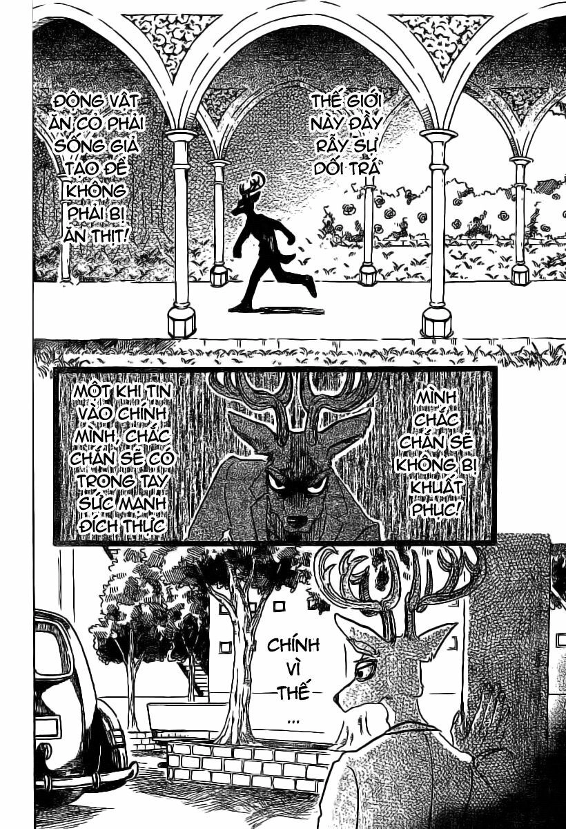 Bởi Vì Chúng Ta Đều Là Những Ngôi Sao Chapter 50 - 16