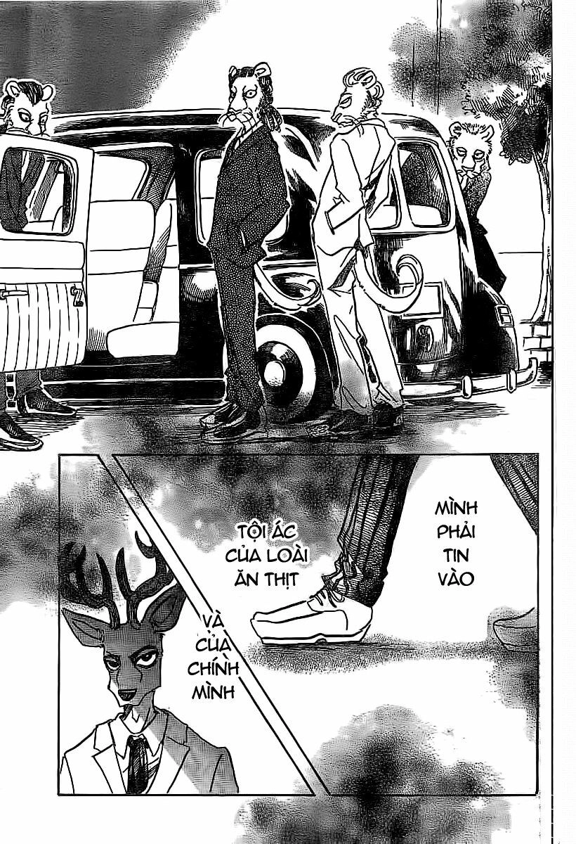 Bởi Vì Chúng Ta Đều Là Những Ngôi Sao Chapter 50 - 17