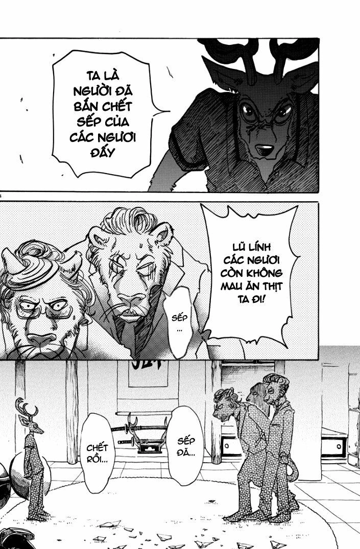 Bởi Vì Chúng Ta Đều Là Những Ngôi Sao Chapter 51 - 4