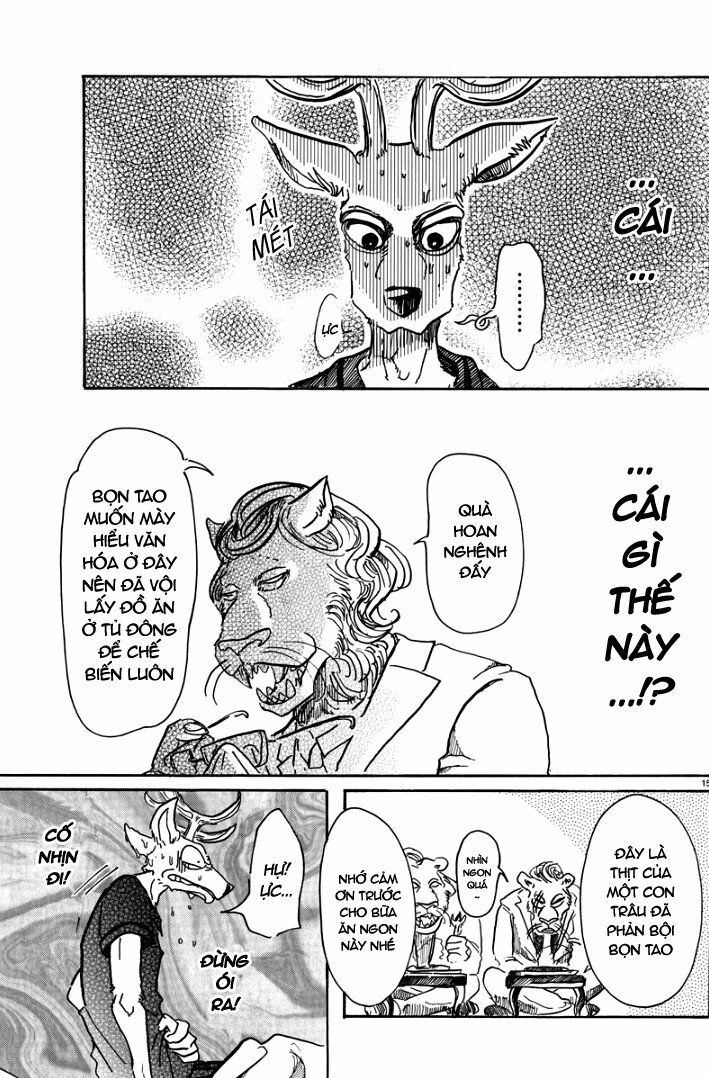 Bởi Vì Chúng Ta Đều Là Những Ngôi Sao Chapter 51 - 15