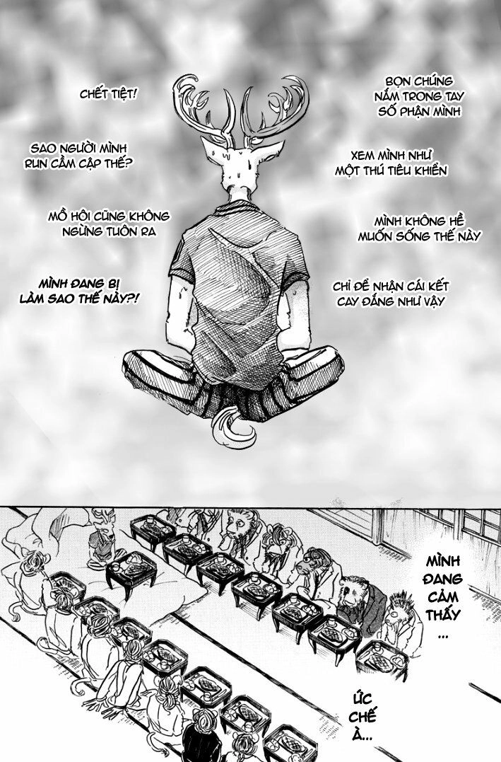 Bởi Vì Chúng Ta Đều Là Những Ngôi Sao Chapter 51 - 17