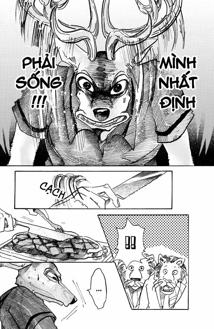 Bởi Vì Chúng Ta Đều Là Những Ngôi Sao Chapter 51 - 18