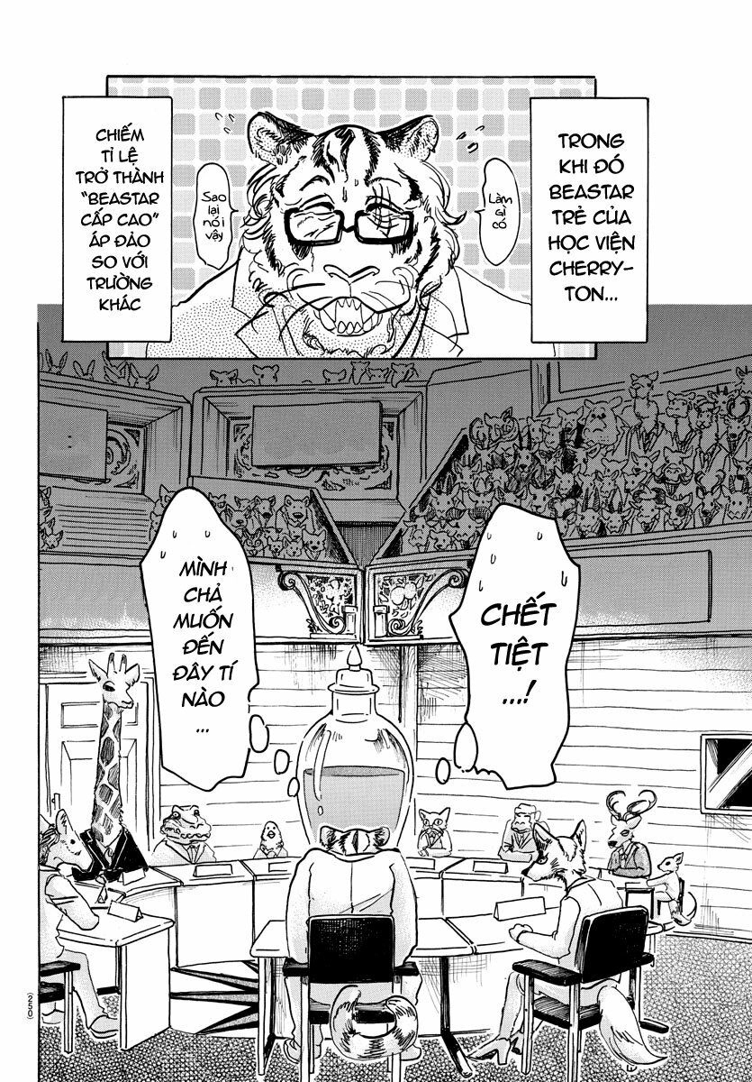 Bởi Vì Chúng Ta Đều Là Những Ngôi Sao Chapter 53 - 13