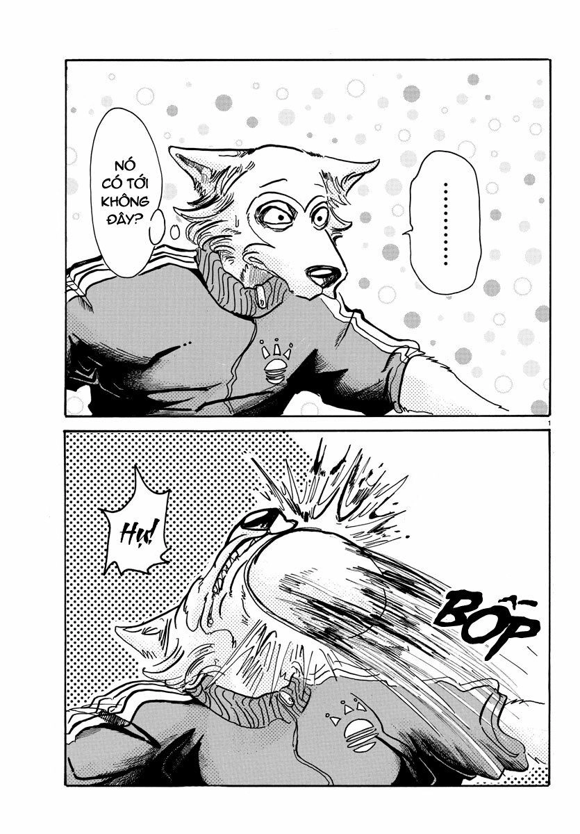 Bởi Vì Chúng Ta Đều Là Những Ngôi Sao Chapter 54 - 3