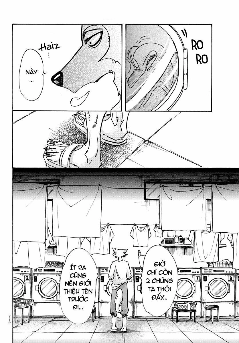 Bởi Vì Chúng Ta Đều Là Những Ngôi Sao Chapter 54 - 16