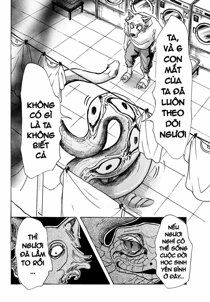 Bởi Vì Chúng Ta Đều Là Những Ngôi Sao Chapter 54 - 21