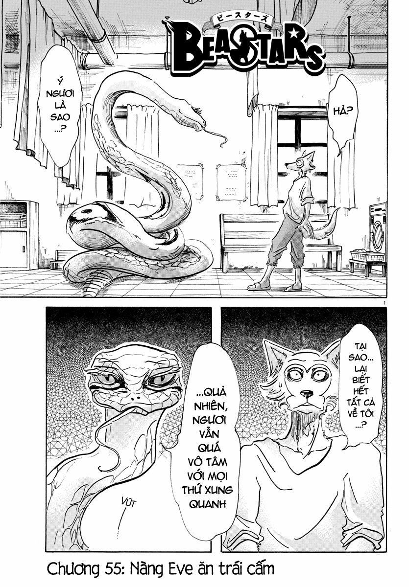 Bởi Vì Chúng Ta Đều Là Những Ngôi Sao Chapter 55 - 1