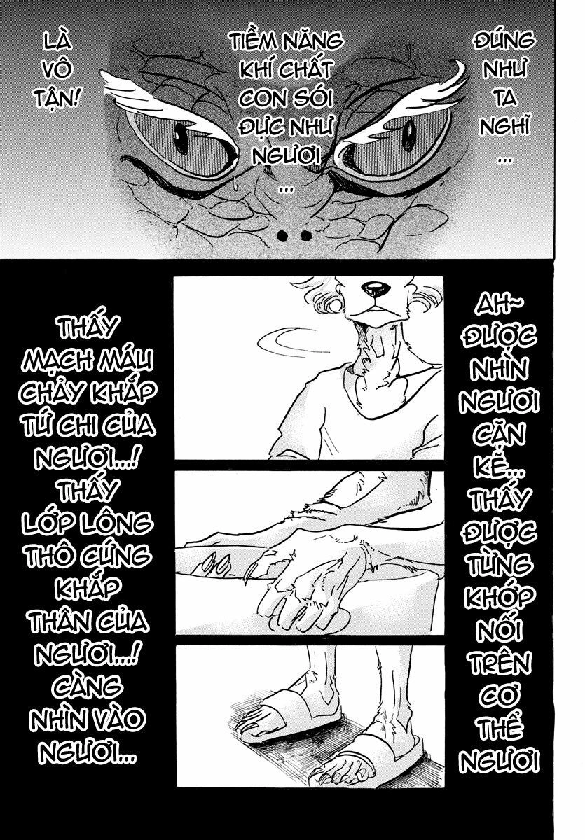 Bởi Vì Chúng Ta Đều Là Những Ngôi Sao Chapter 55 - 3