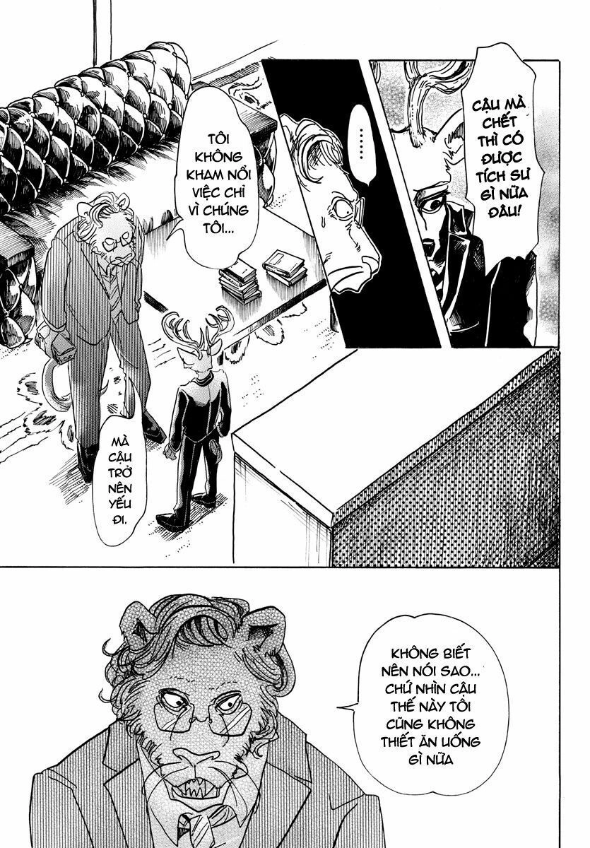 Bởi Vì Chúng Ta Đều Là Những Ngôi Sao Chapter 56 - 17