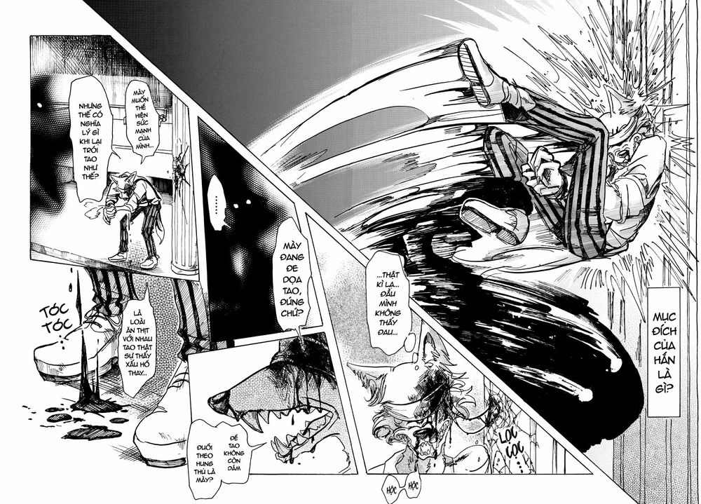 Bởi Vì Chúng Ta Đều Là Những Ngôi Sao Chapter 60 - 11