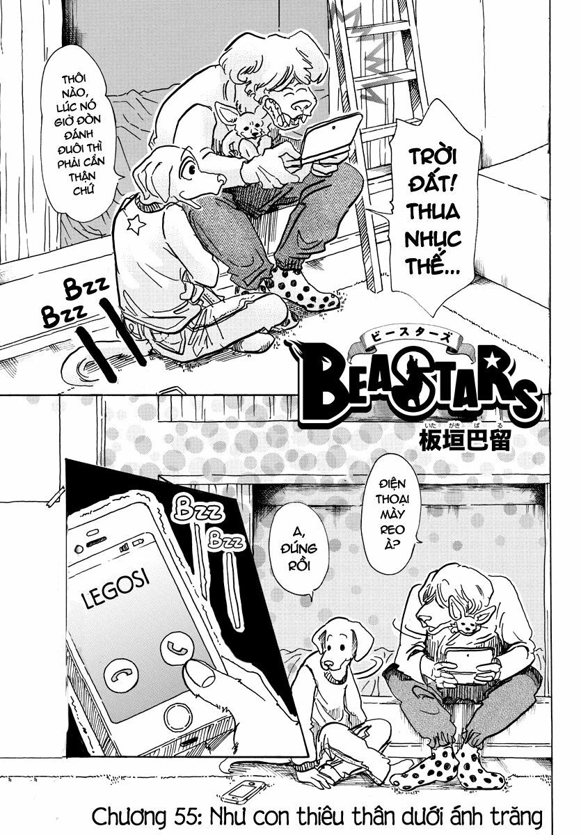 Bởi Vì Chúng Ta Đều Là Những Ngôi Sao Chapter 61 - 1