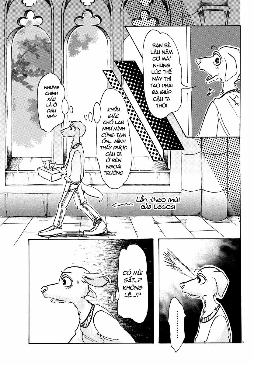 Bởi Vì Chúng Ta Đều Là Những Ngôi Sao Chapter 61 - 3