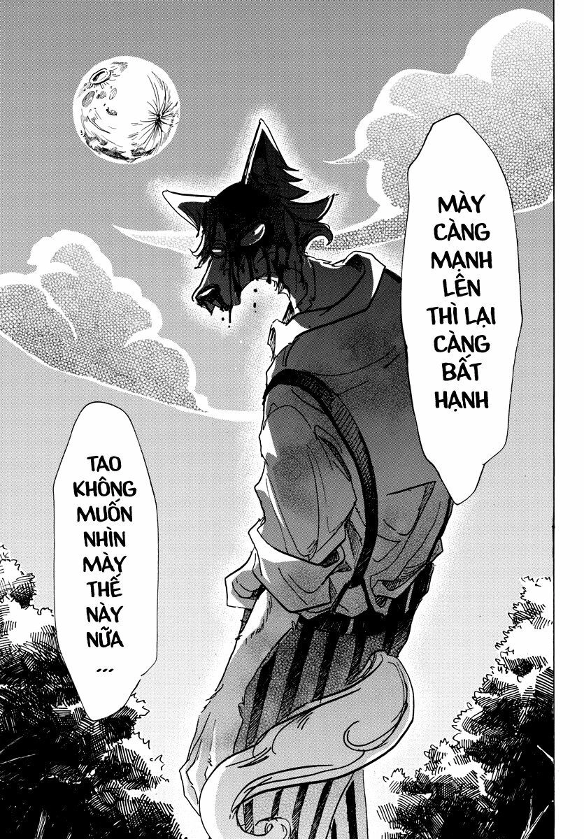 Bởi Vì Chúng Ta Đều Là Những Ngôi Sao Chapter 61 - 9