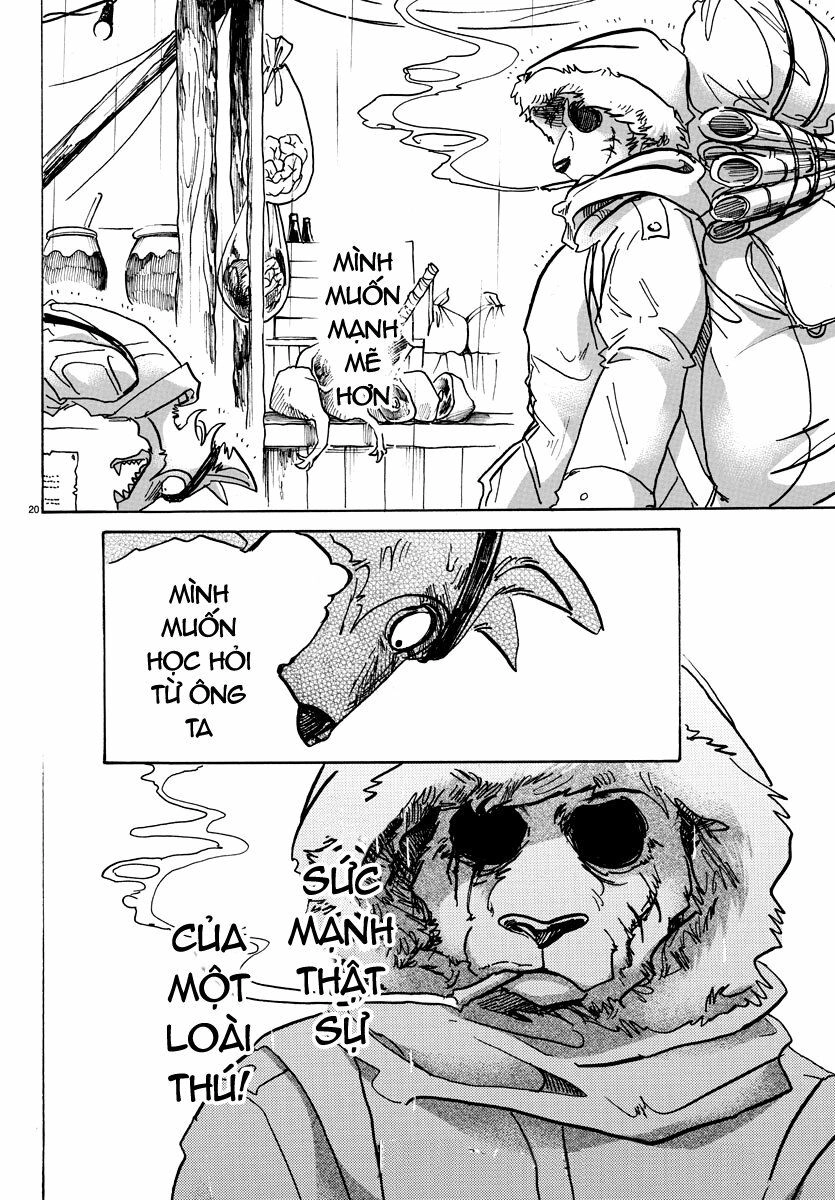 Bởi Vì Chúng Ta Đều Là Những Ngôi Sao Chapter 61 - 19