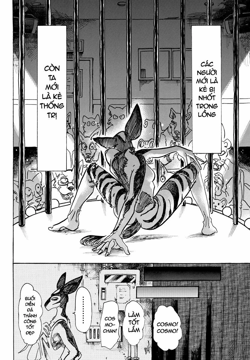 Bởi Vì Chúng Ta Đều Là Những Ngôi Sao Chapter 64 - 8