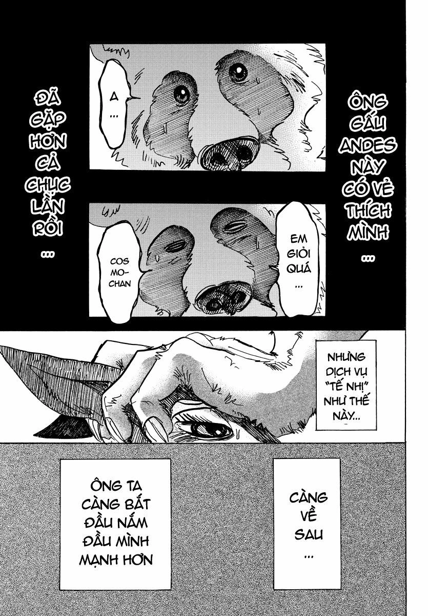 Bởi Vì Chúng Ta Đều Là Những Ngôi Sao Chapter 64 - 15