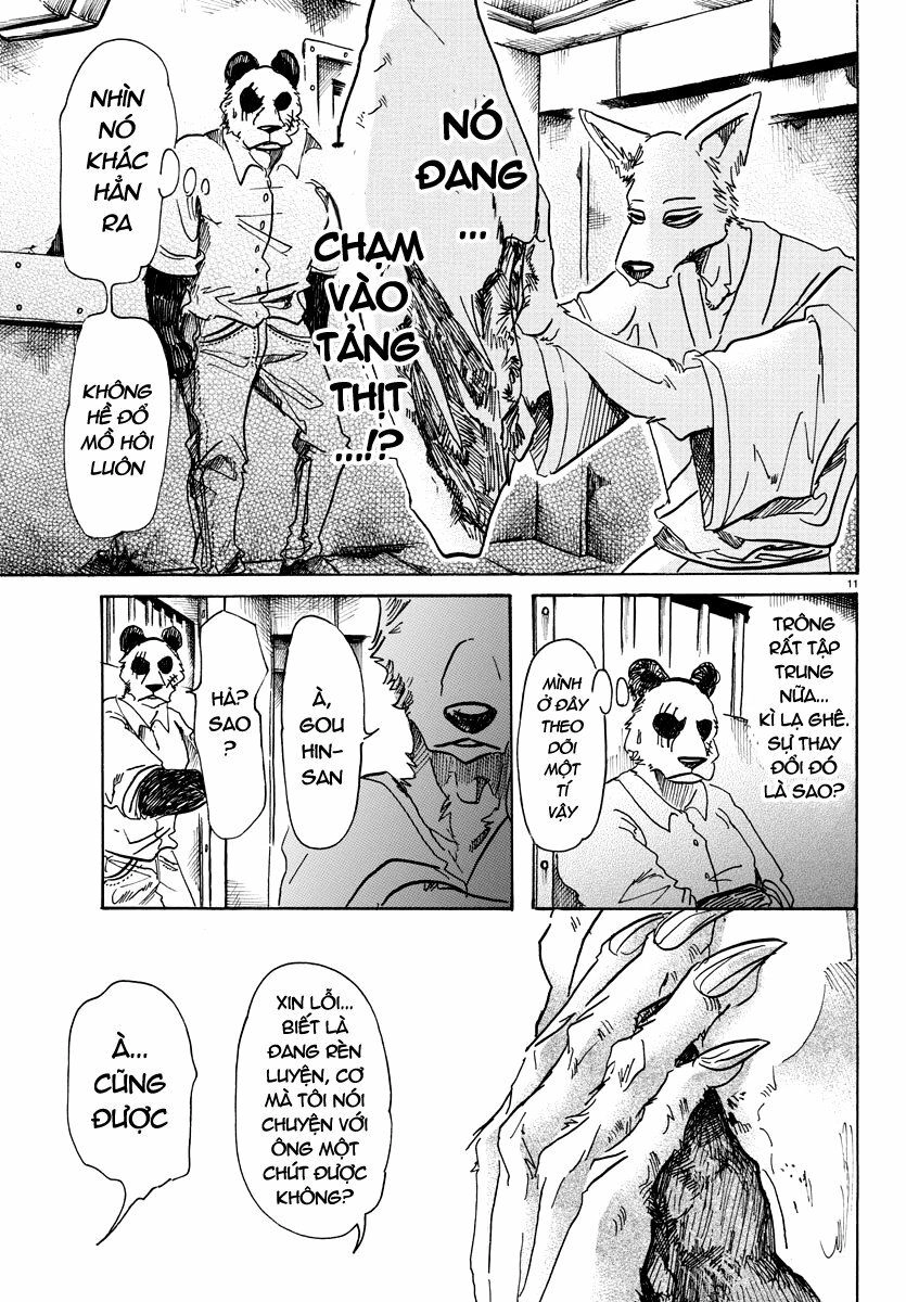 Bởi Vì Chúng Ta Đều Là Những Ngôi Sao Chapter 66 - 11