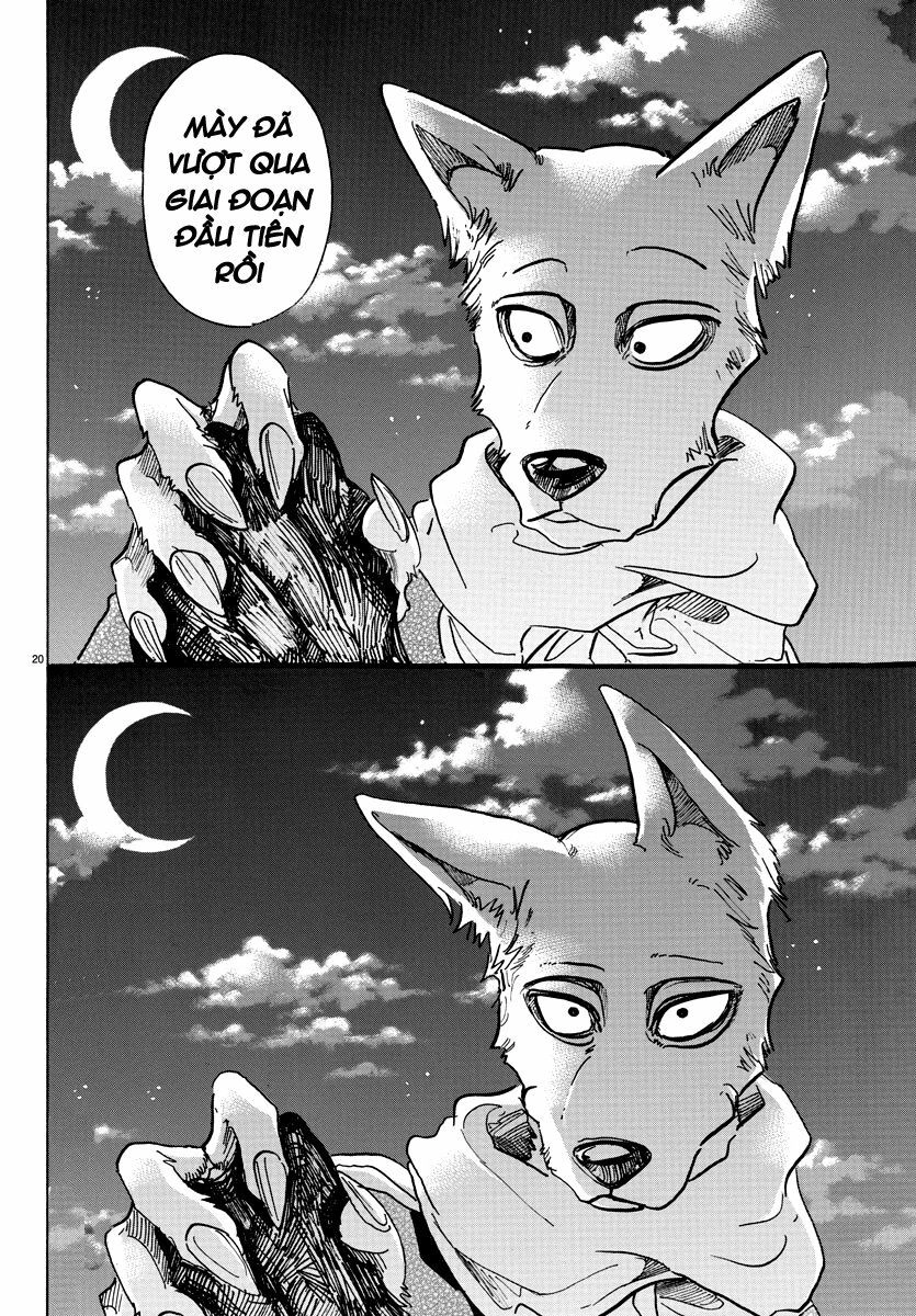 Bởi Vì Chúng Ta Đều Là Những Ngôi Sao Chapter 66 - 19