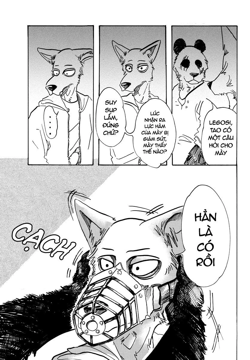 Bởi Vì Chúng Ta Đều Là Những Ngôi Sao Chapter 68 - 11