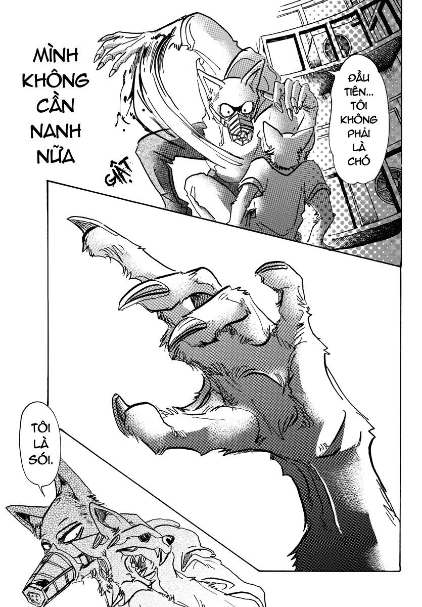 Bởi Vì Chúng Ta Đều Là Những Ngôi Sao Chapter 68 - 17