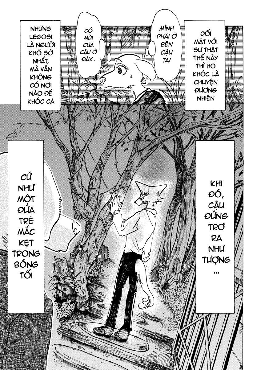 Bởi Vì Chúng Ta Đều Là Những Ngôi Sao Chapter 73 - 3