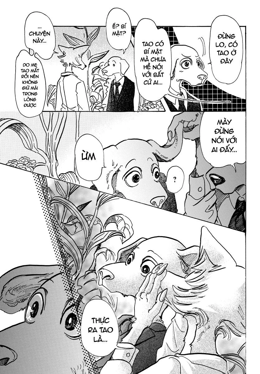 Bởi Vì Chúng Ta Đều Là Những Ngôi Sao Chapter 73 - 5