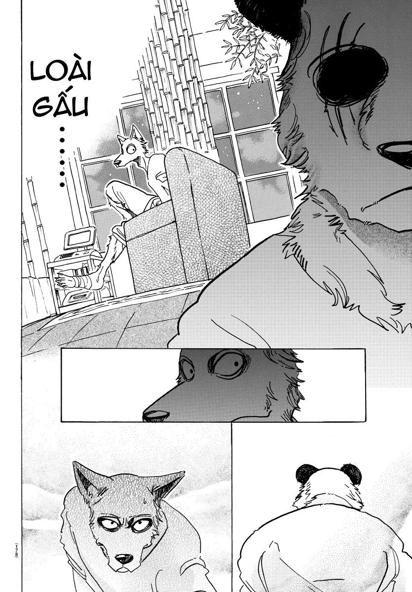 Bởi Vì Chúng Ta Đều Là Những Ngôi Sao Chapter 74 - 12