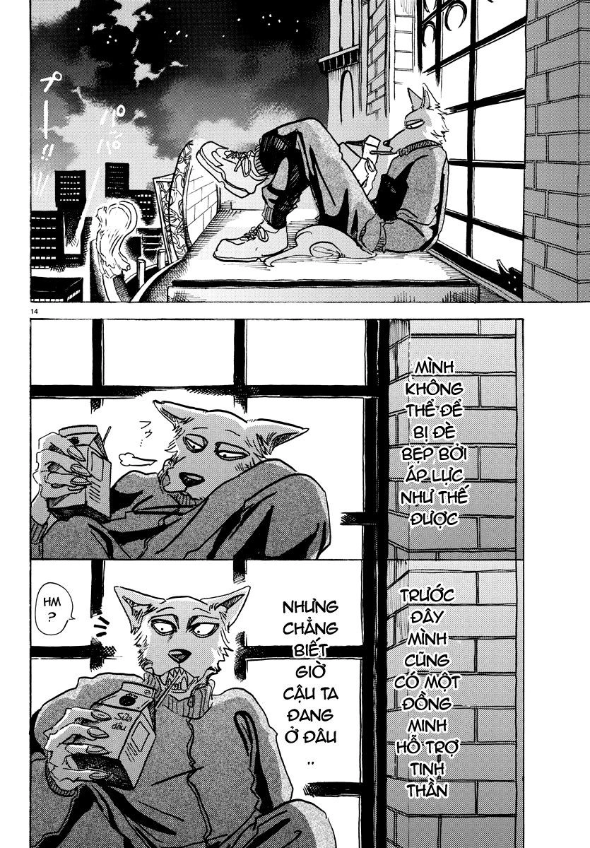 Bởi Vì Chúng Ta Đều Là Những Ngôi Sao Chapter 74 - 14