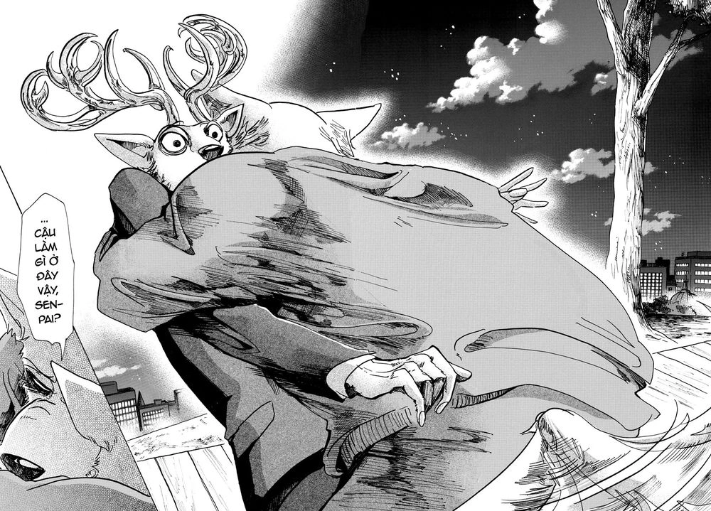 Bởi Vì Chúng Ta Đều Là Những Ngôi Sao Chapter 75 - 19