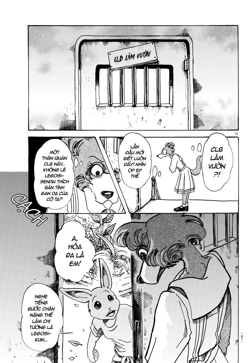 Bởi Vì Chúng Ta Đều Là Những Ngôi Sao Chapter 79 - 11