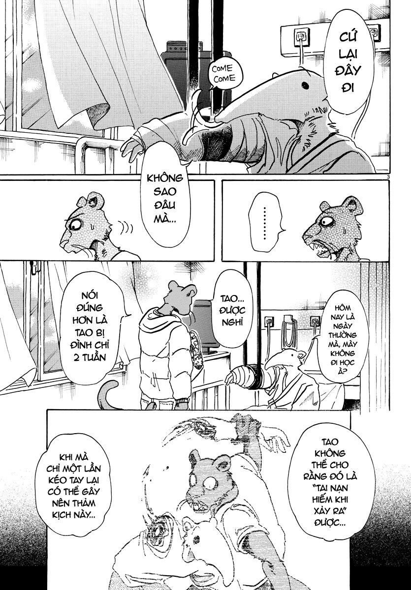 Bởi Vì Chúng Ta Đều Là Những Ngôi Sao Chapter 81 - 3