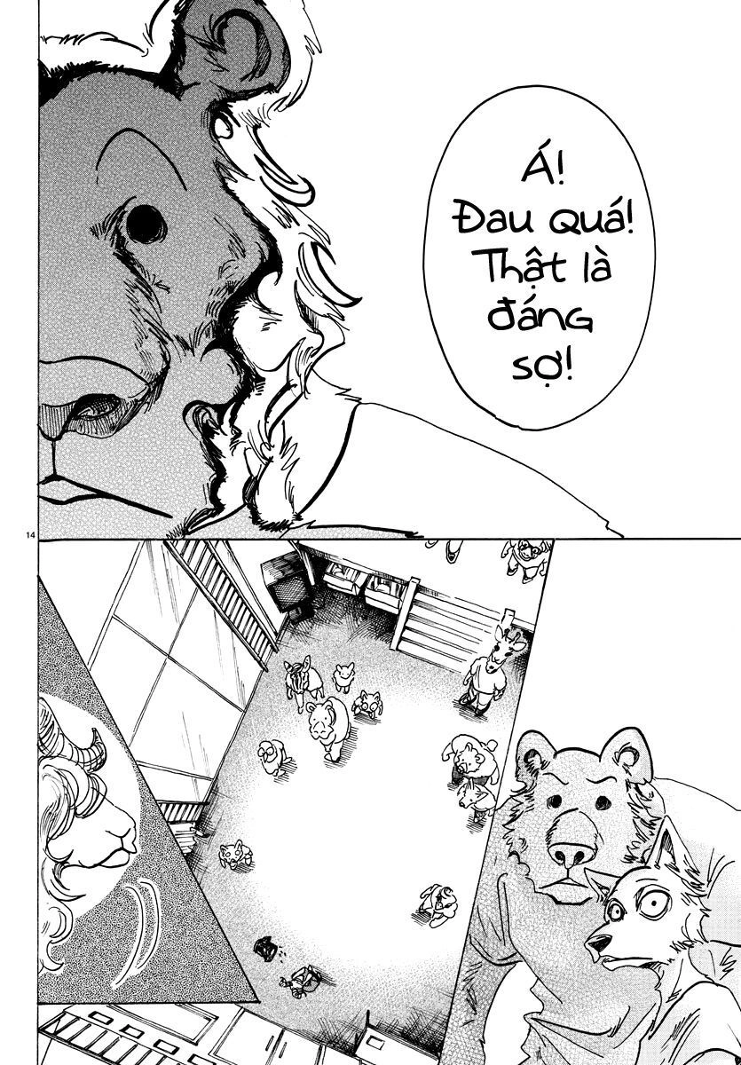 Bởi Vì Chúng Ta Đều Là Những Ngôi Sao Chapter 81 - 12