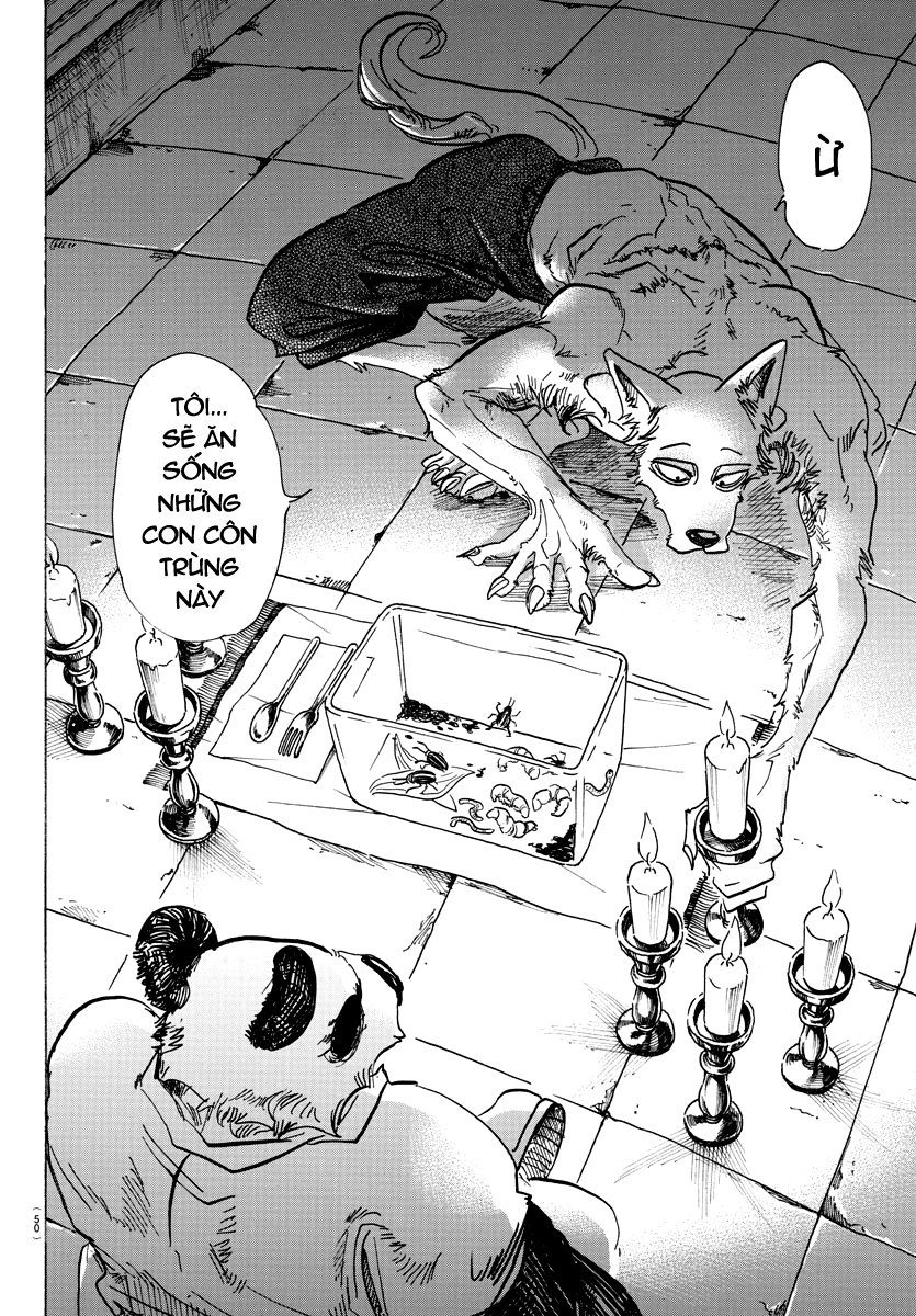 Bởi Vì Chúng Ta Đều Là Những Ngôi Sao Chapter 82 - 4