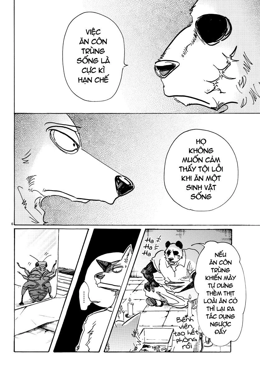 Bởi Vì Chúng Ta Đều Là Những Ngôi Sao Chapter 82 - 6