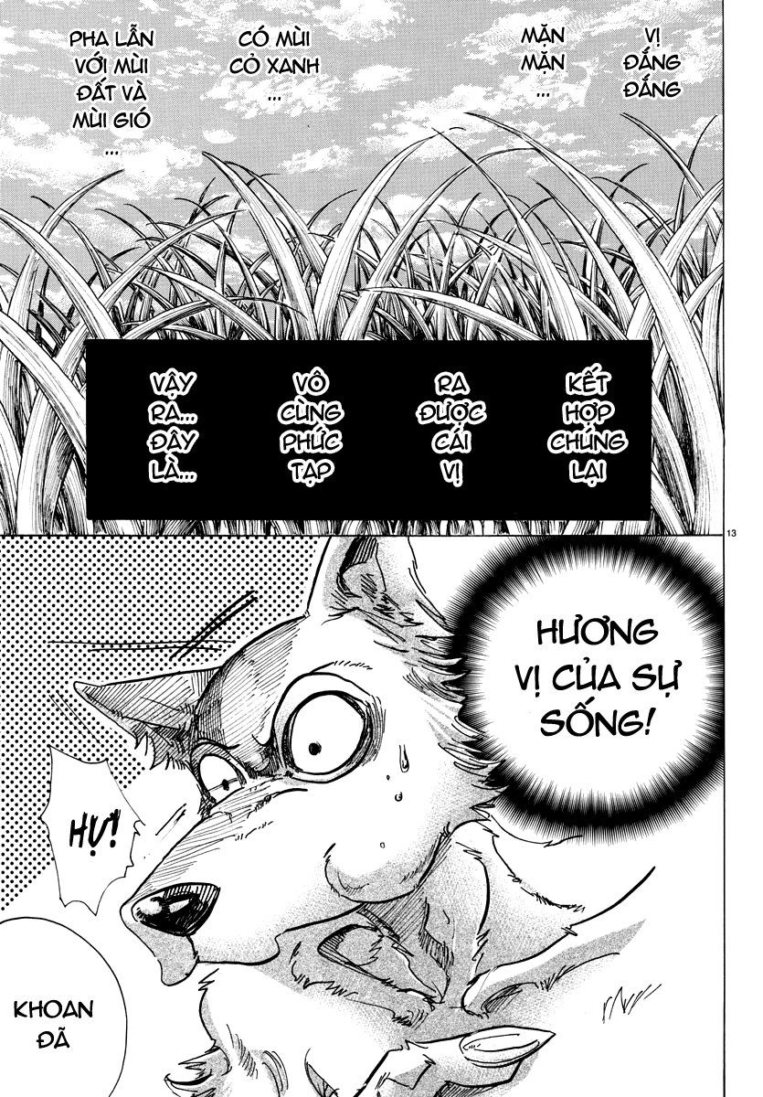 Bởi Vì Chúng Ta Đều Là Những Ngôi Sao Chapter 82 - 13