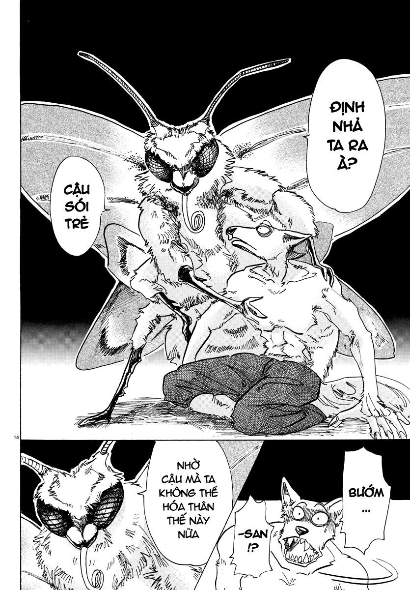 Bởi Vì Chúng Ta Đều Là Những Ngôi Sao Chapter 82 - 14