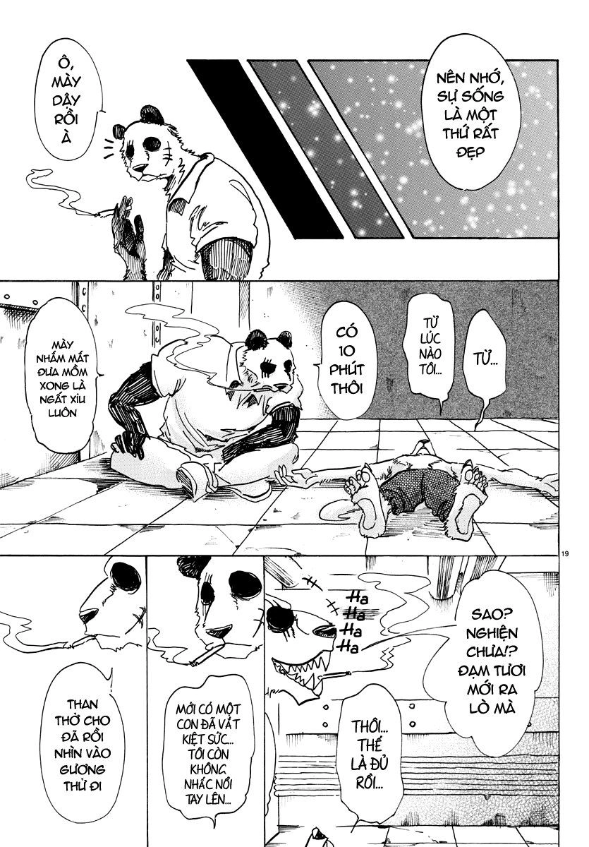 Bởi Vì Chúng Ta Đều Là Những Ngôi Sao Chapter 82 - 19