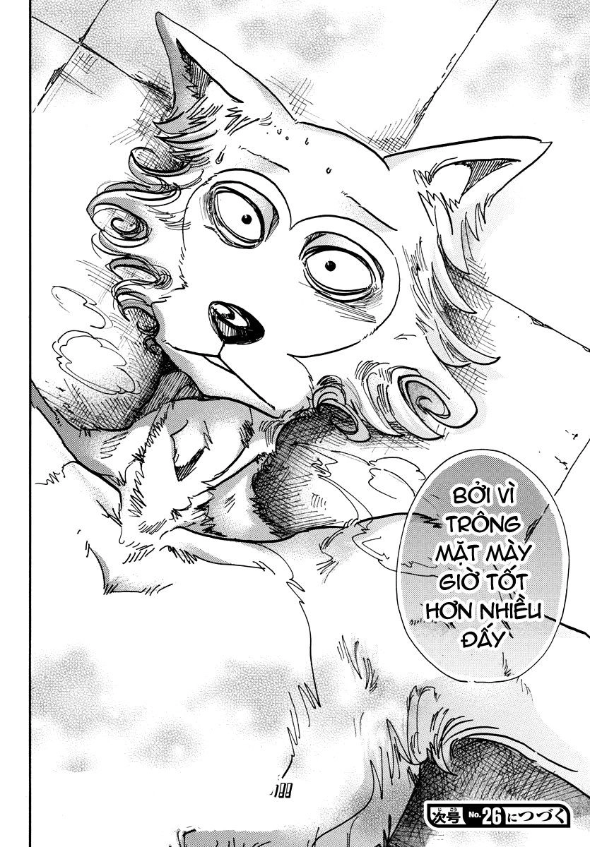 Bởi Vì Chúng Ta Đều Là Những Ngôi Sao Chapter 82 - 20