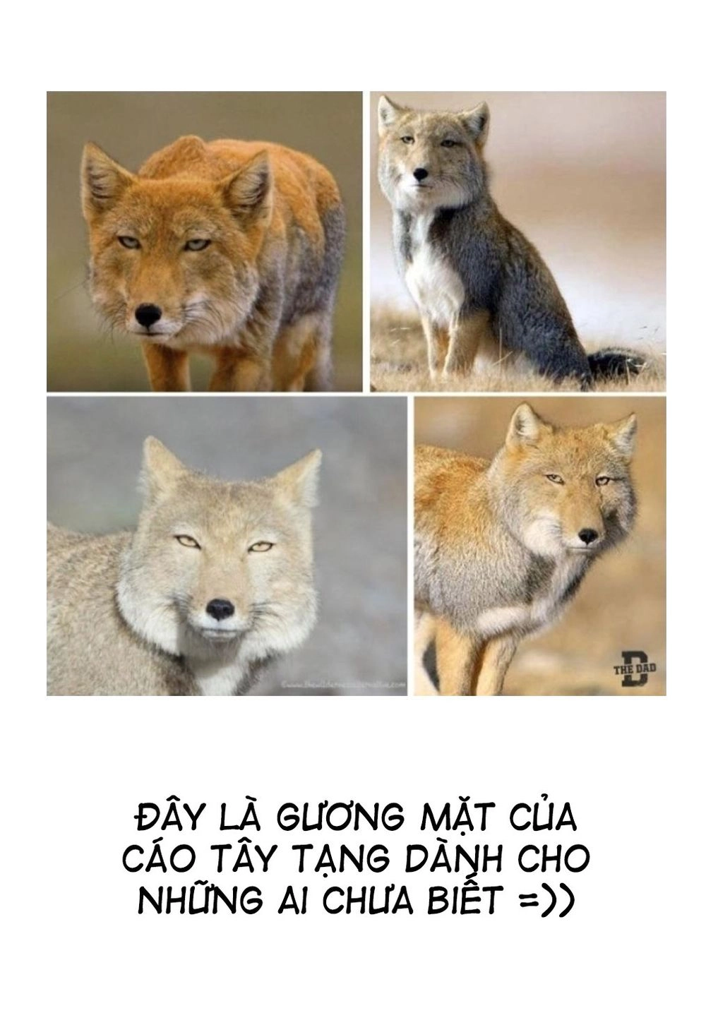 Bởi Vì Chúng Ta Đều Là Những Ngôi Sao Chapter 86 - 21