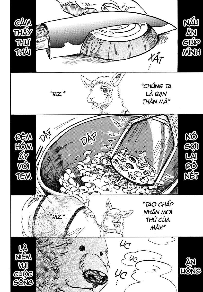 Bởi Vì Chúng Ta Đều Là Những Ngôi Sao Chapter 89 - 9