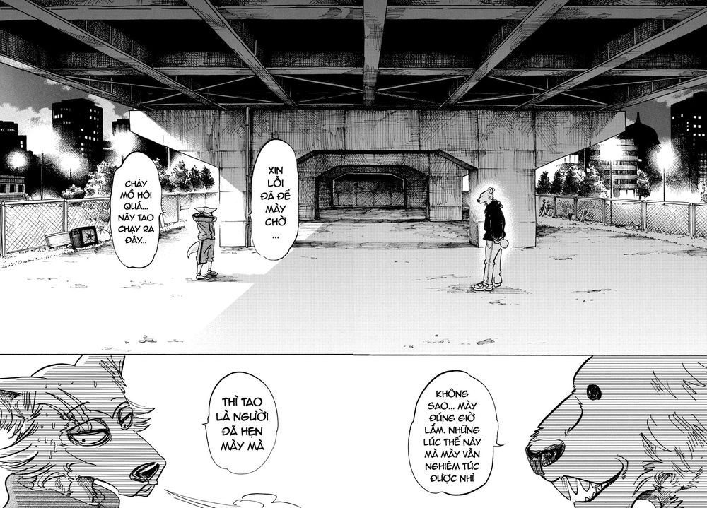 Bởi Vì Chúng Ta Đều Là Những Ngôi Sao Chapter 90 - 12