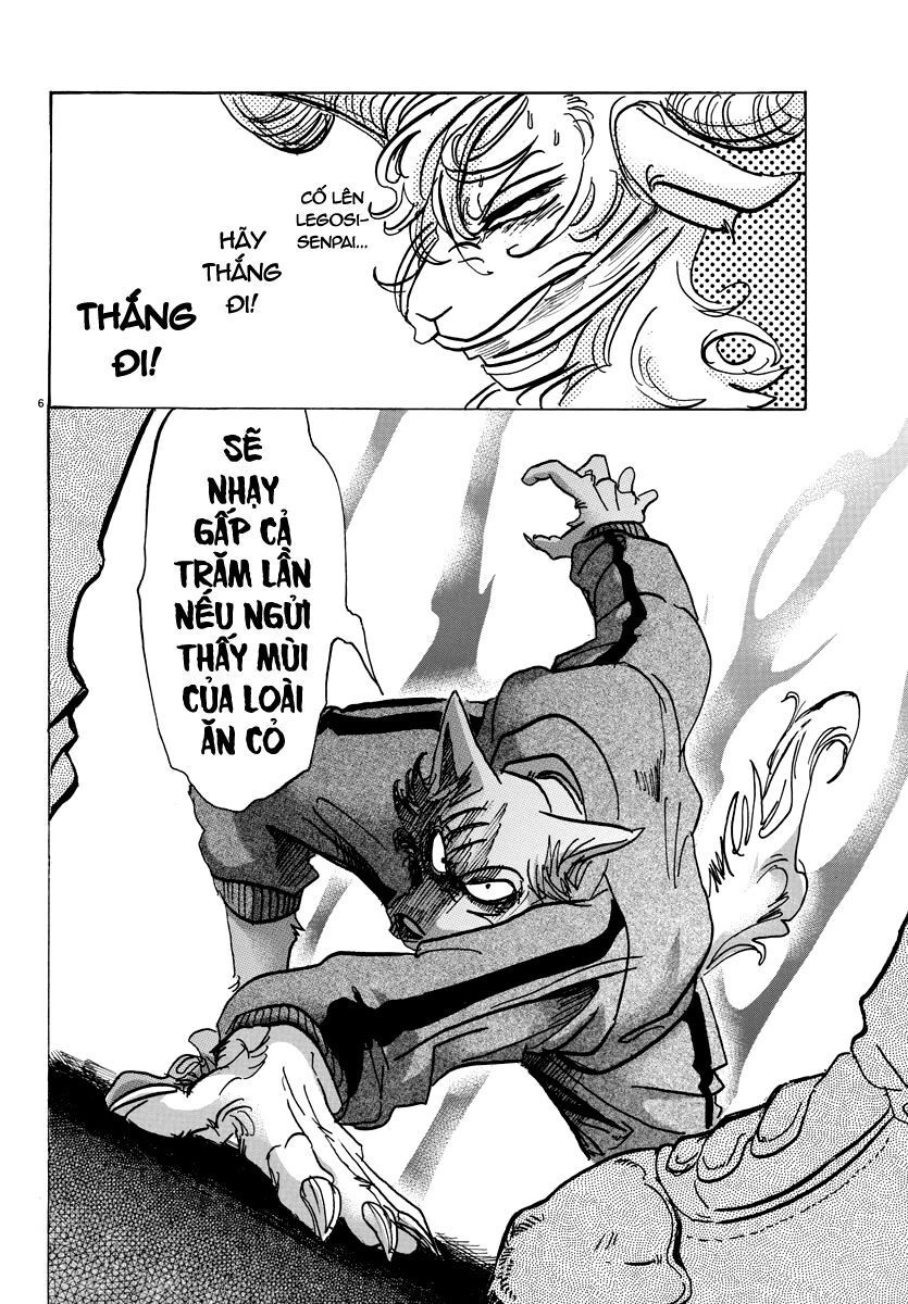 Bởi Vì Chúng Ta Đều Là Những Ngôi Sao Chapter 91 - 6