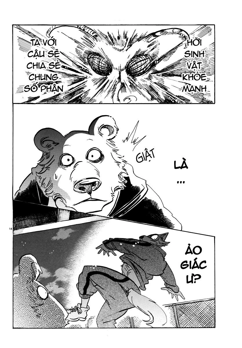 Bởi Vì Chúng Ta Đều Là Những Ngôi Sao Chapter 93 - 13